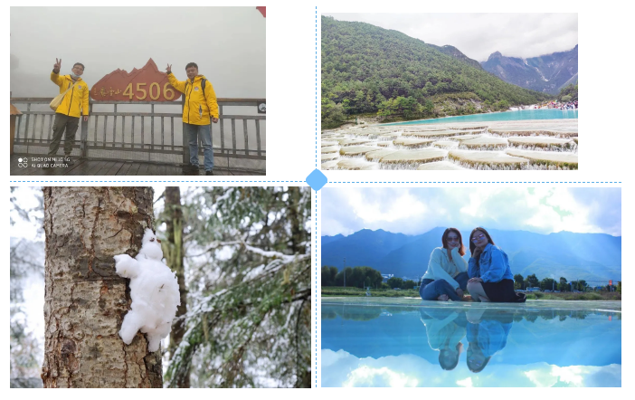 99久久伊人精品综合观看