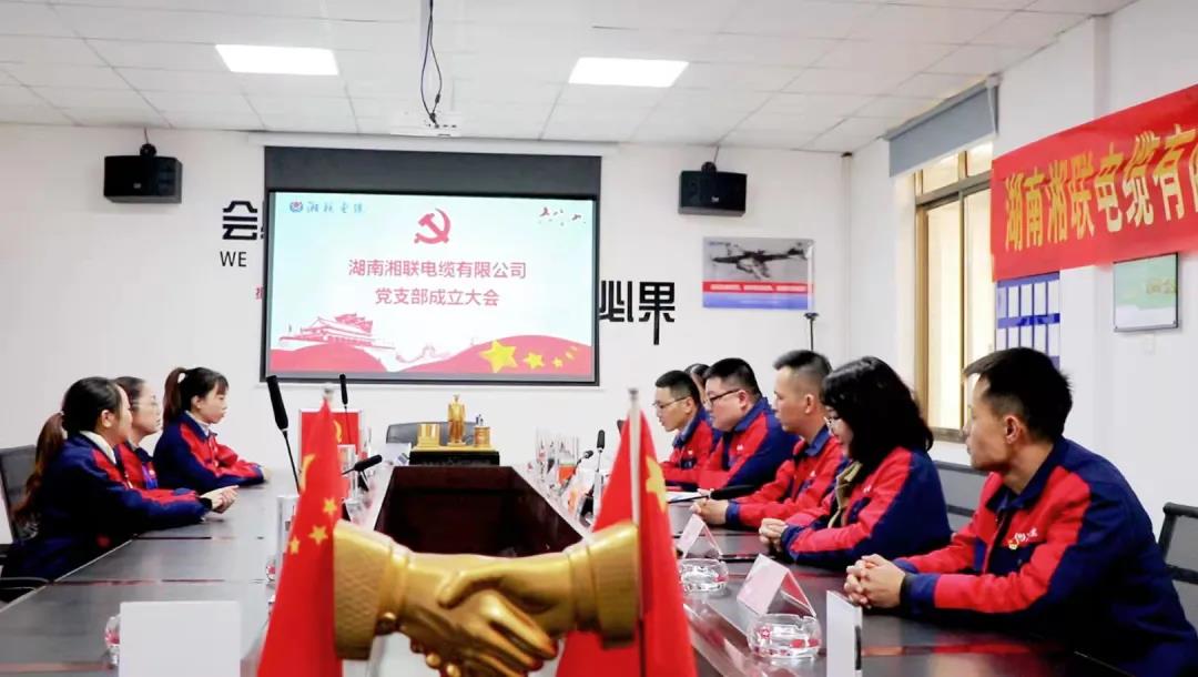 新征程 | 热烈祝贺99久久伊人精品综合观看-一二三区乱码不卡手机版-欧美日韩在线一区二区在线观看-国产成人av在线免播放观看-亚洲精品中文字幕不卡在线党支部正式成立！