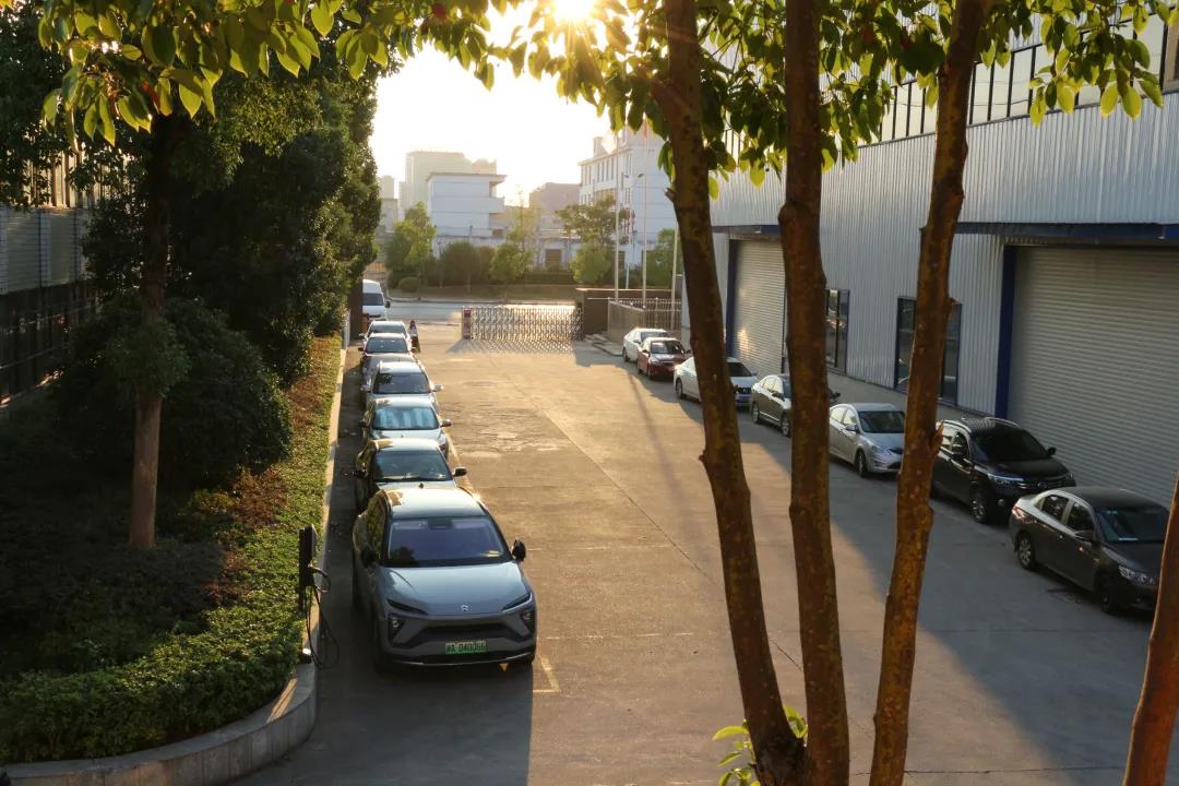 99久久伊人精品综合观看