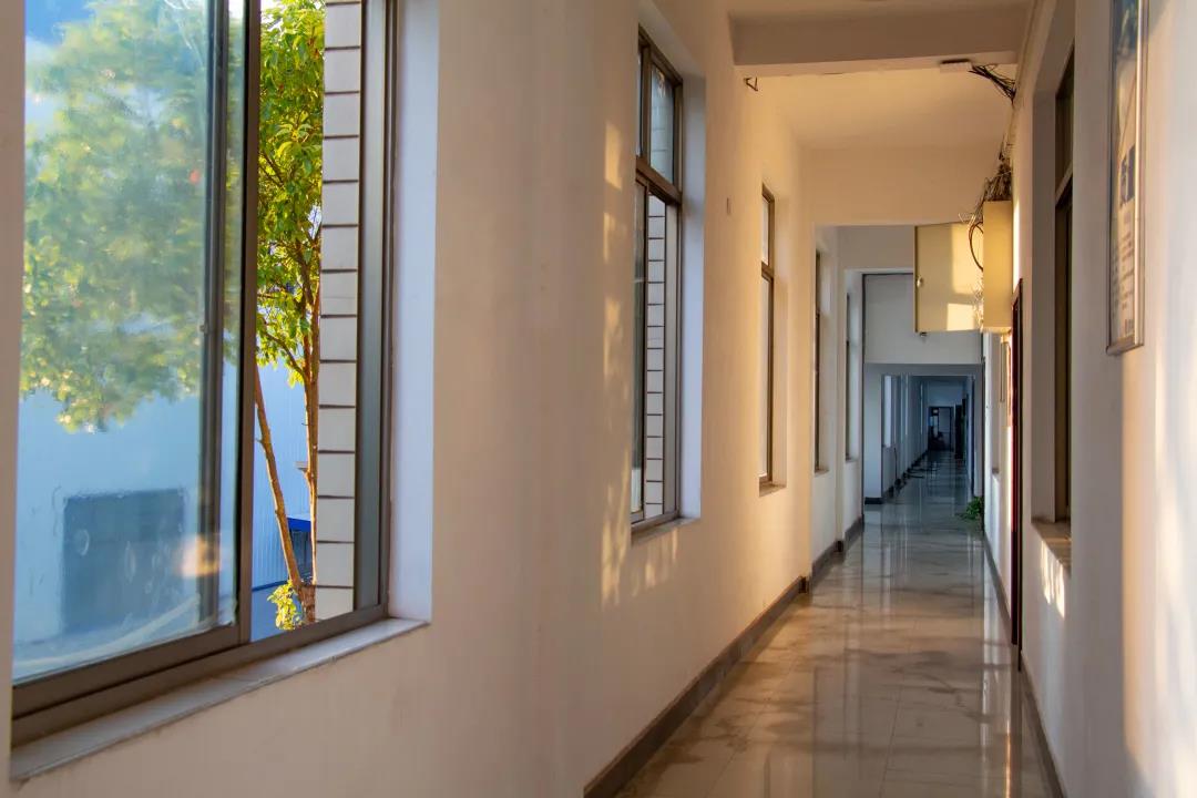 99久久伊人精品综合观看