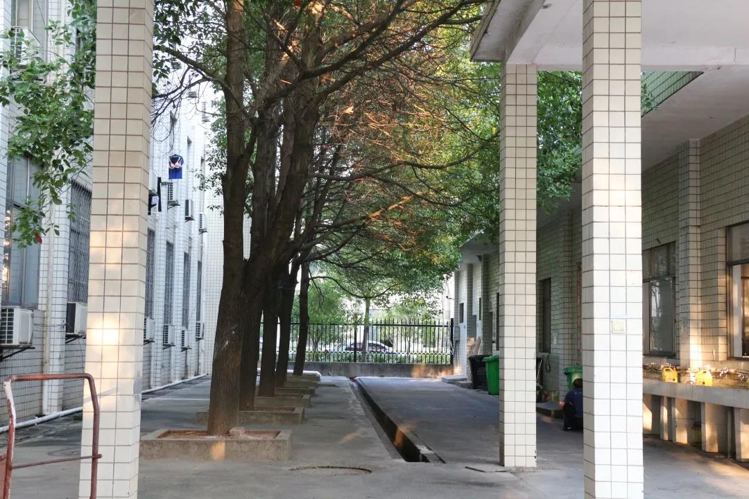 99久久伊人精品综合观看