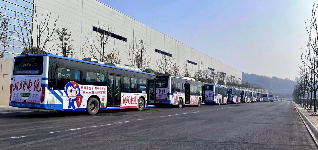 99久久伊人精品综合观看