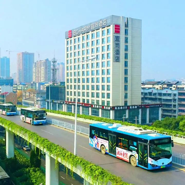 99久久伊人精品综合观看