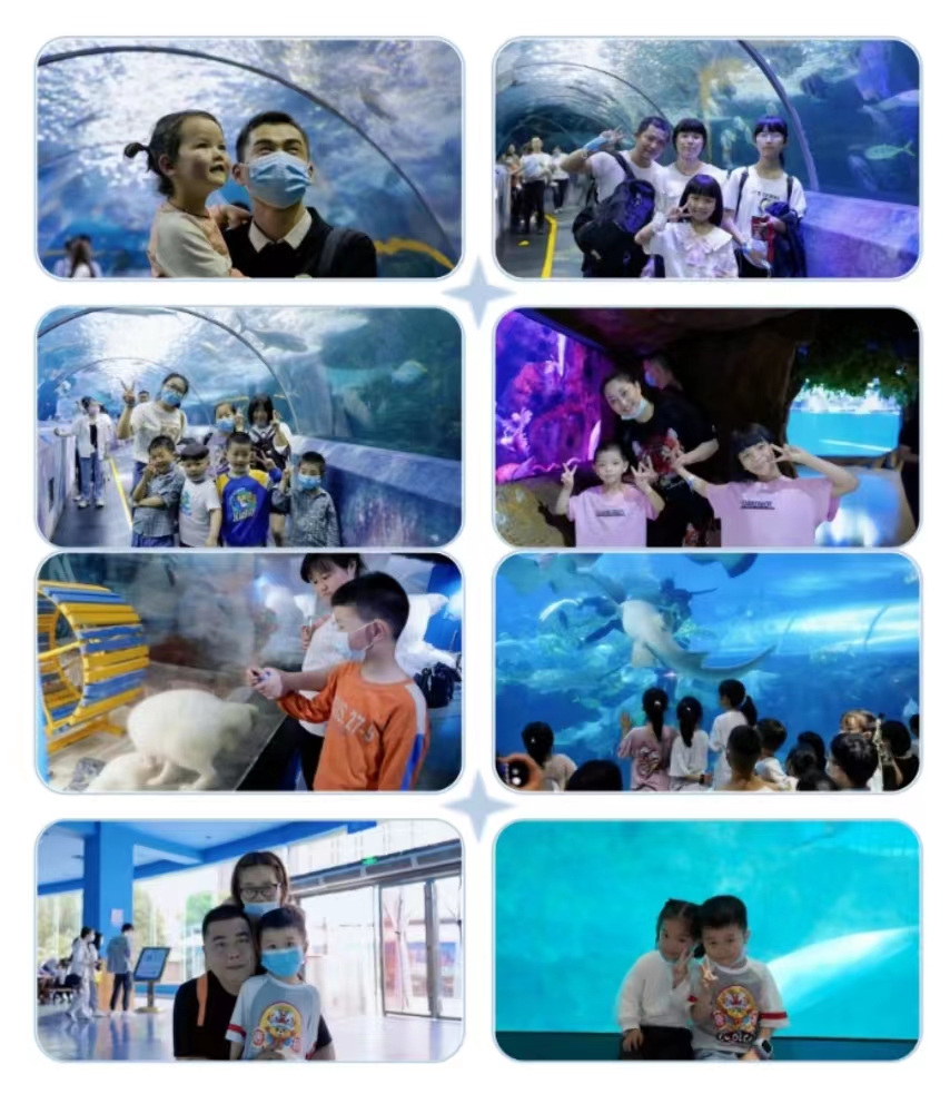 99久久伊人精品综合观看