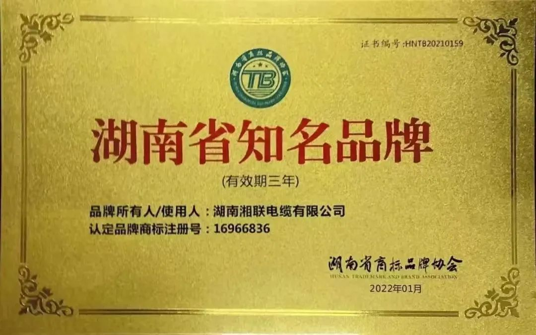 99久久伊人精品综合观看