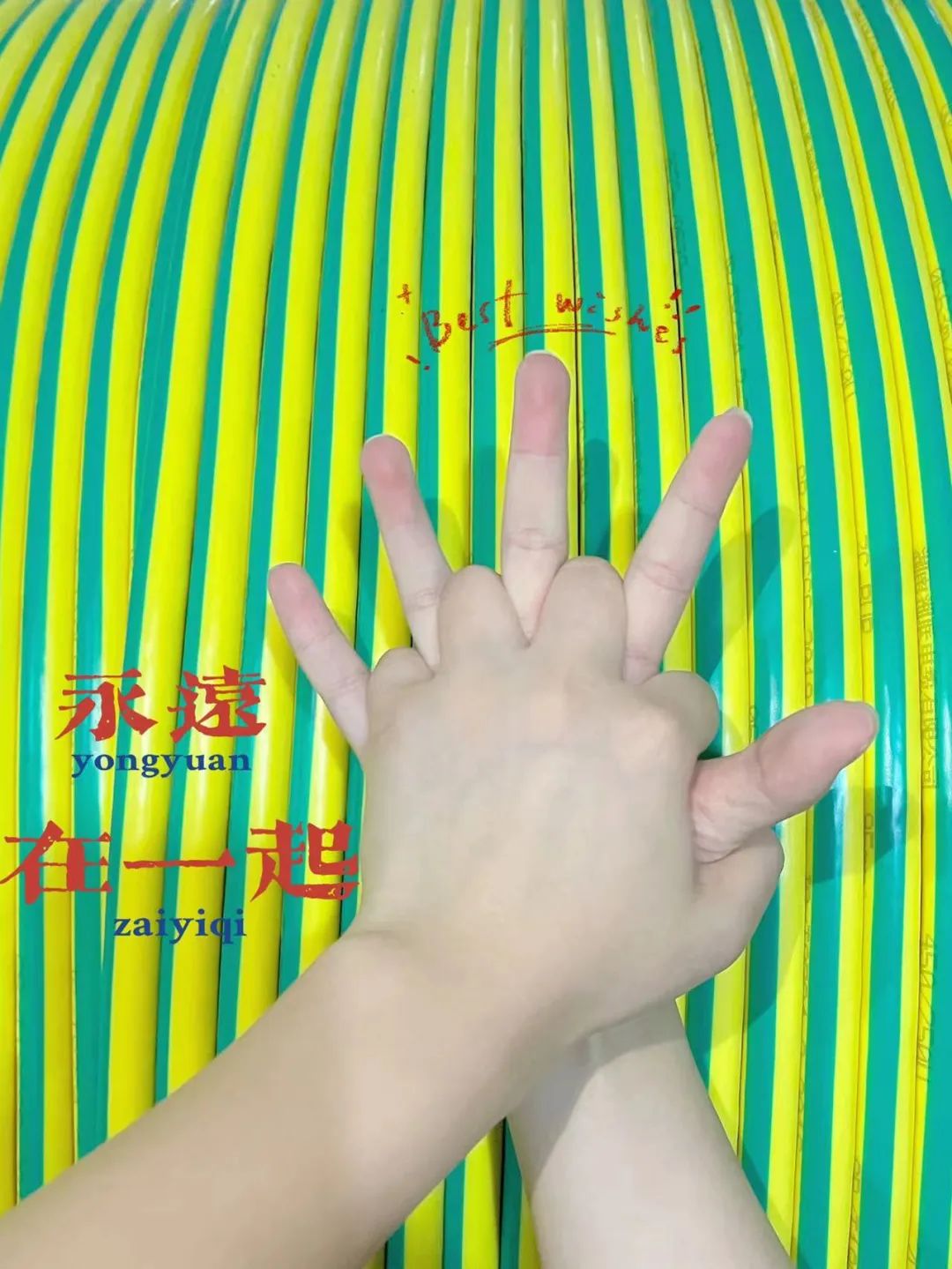 99久久伊人精品综合观看