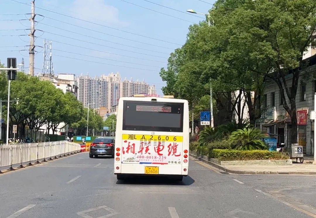 99久久伊人精品综合观看