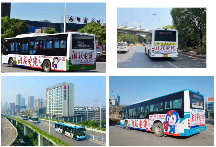 99久久伊人精品综合观看