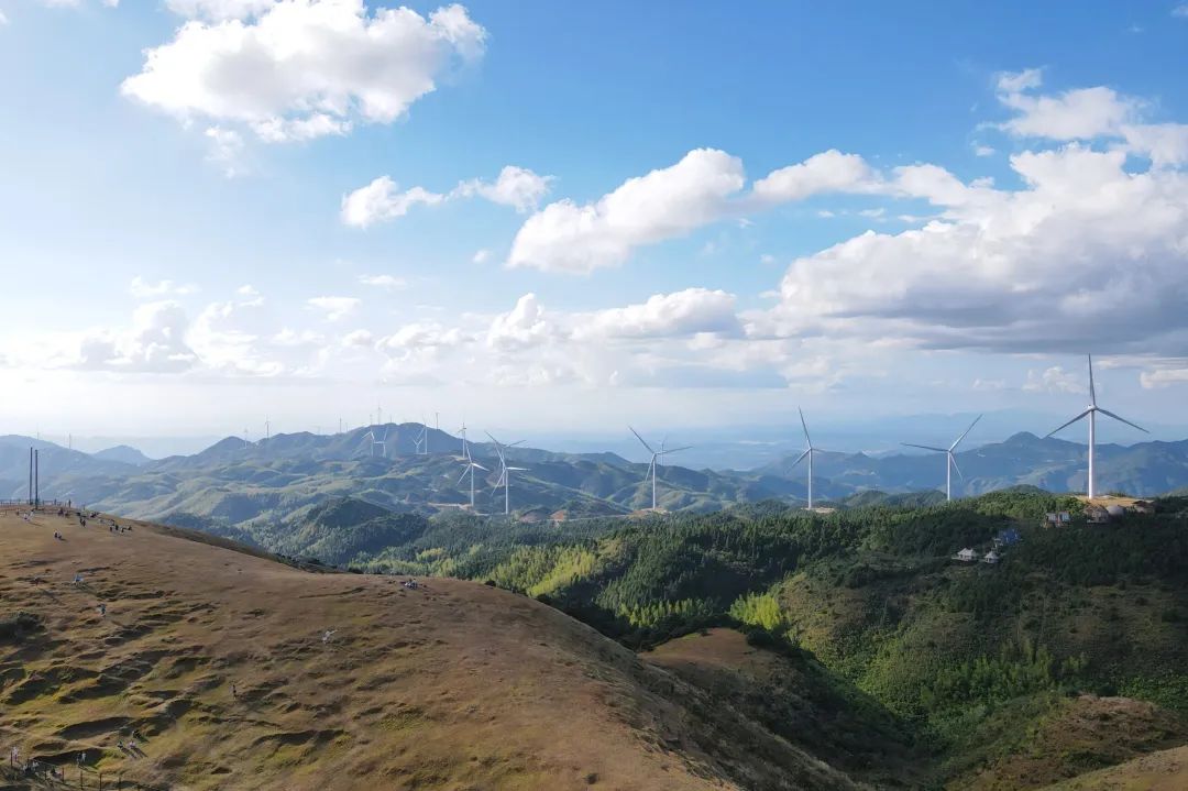 99久久伊人精品综合观看