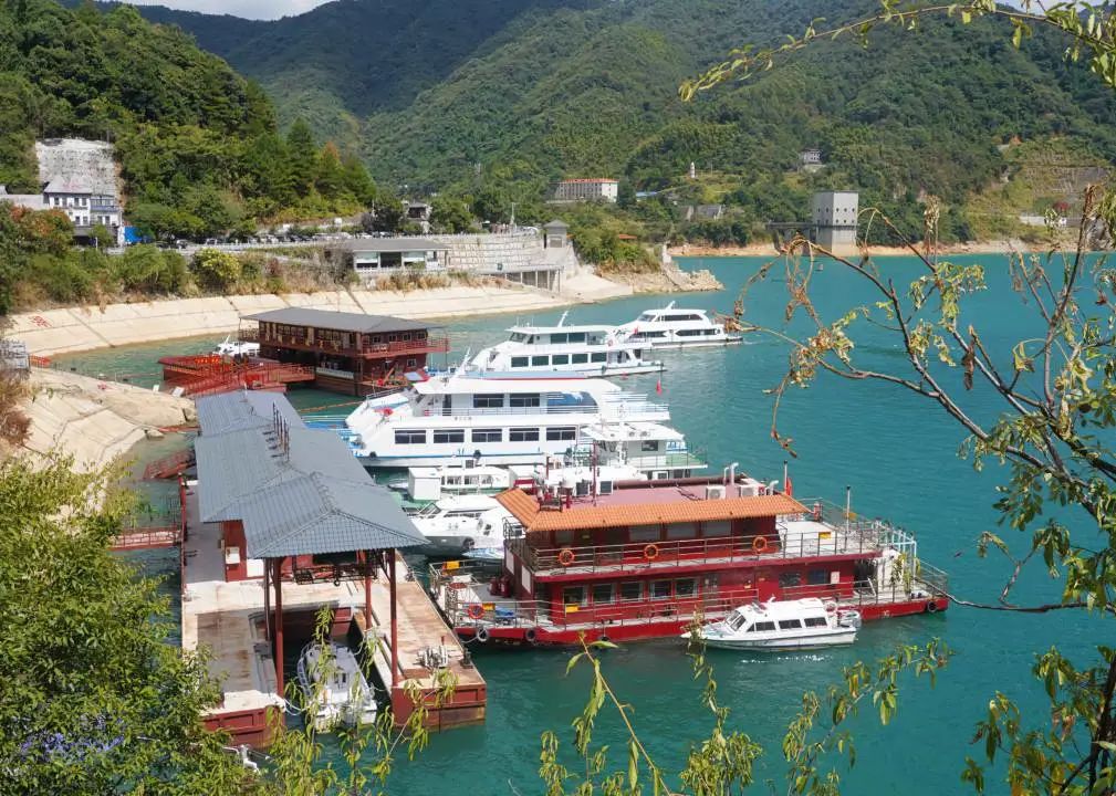 99久久伊人精品综合观看