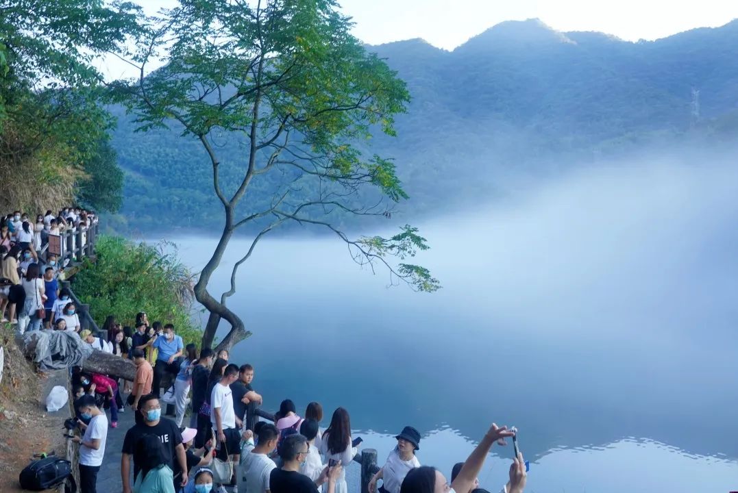 99久久伊人精品综合观看