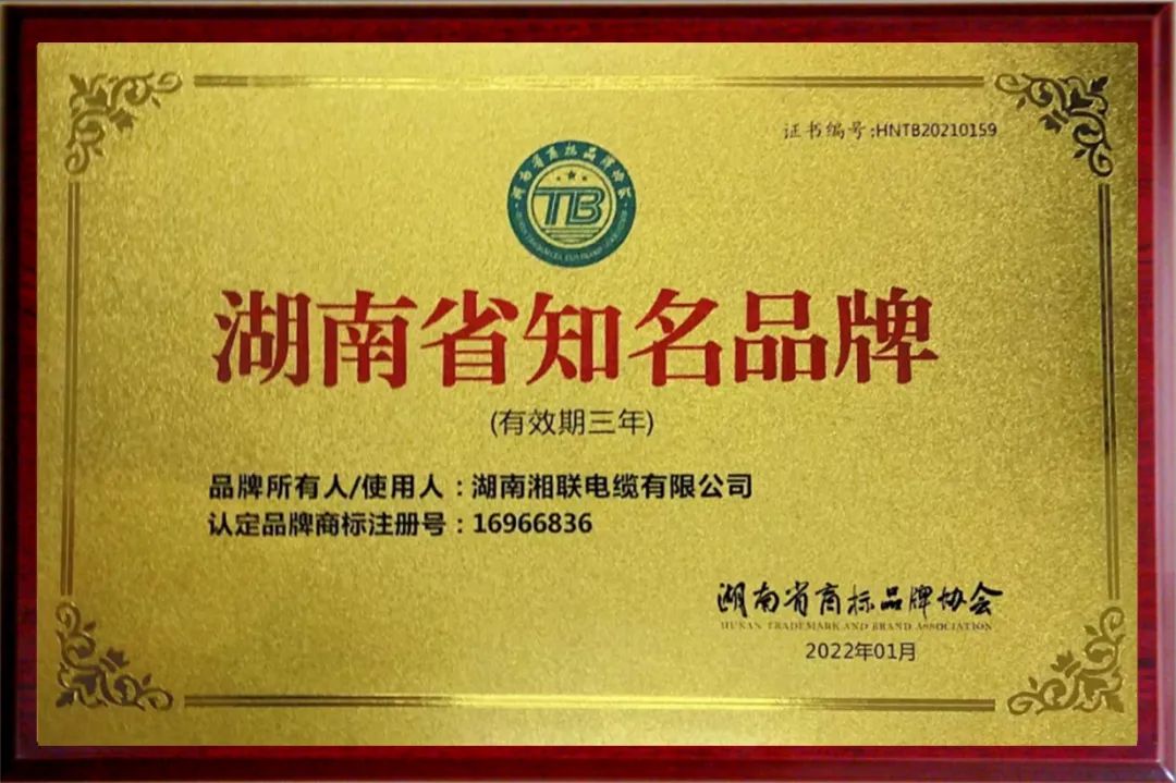 99久久伊人精品综合观看