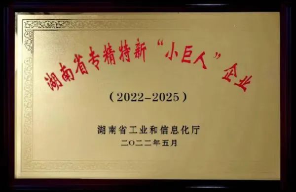 99久久伊人精品综合观看