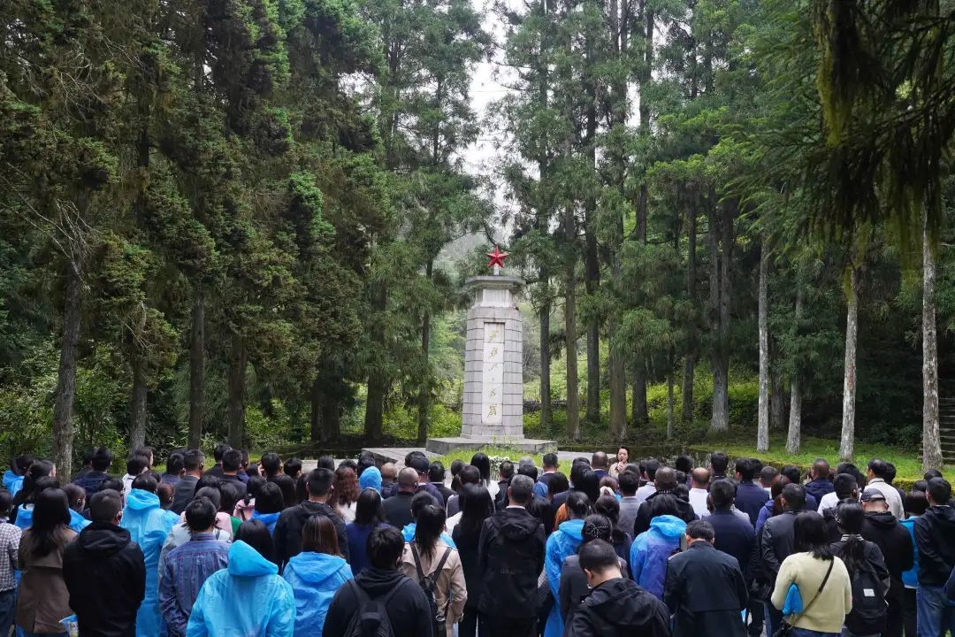 99久久伊人精品综合观看