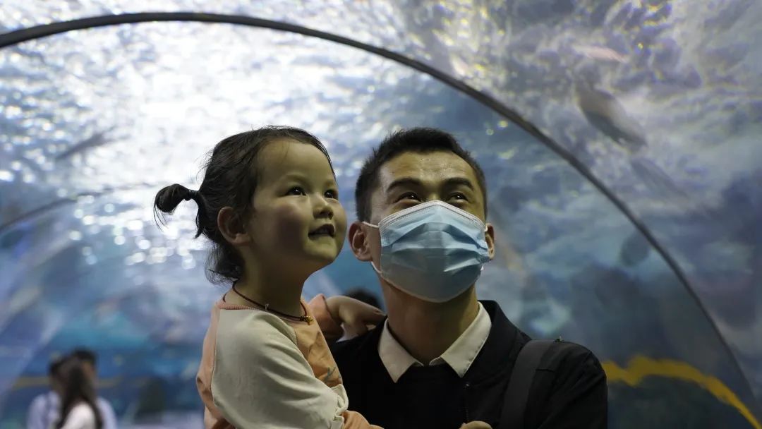 99久久伊人精品综合观看