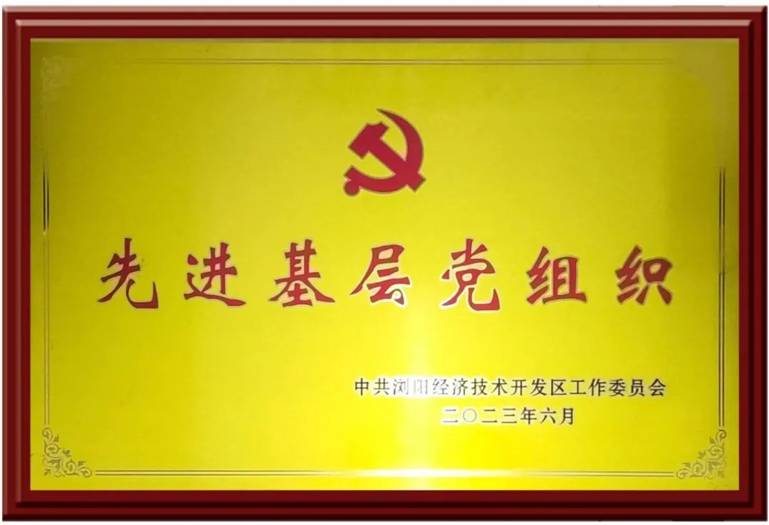 99久久伊人精品综合观看