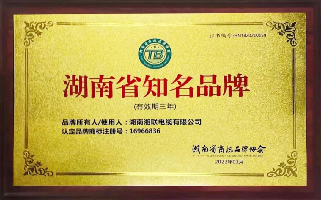 99久久伊人精品综合观看