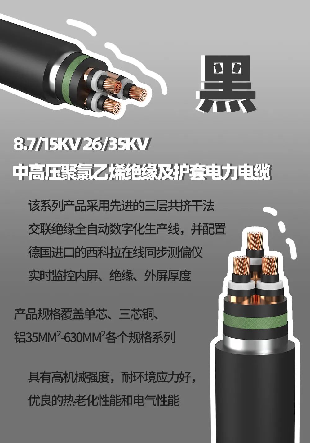 99久久伊人精品综合观看