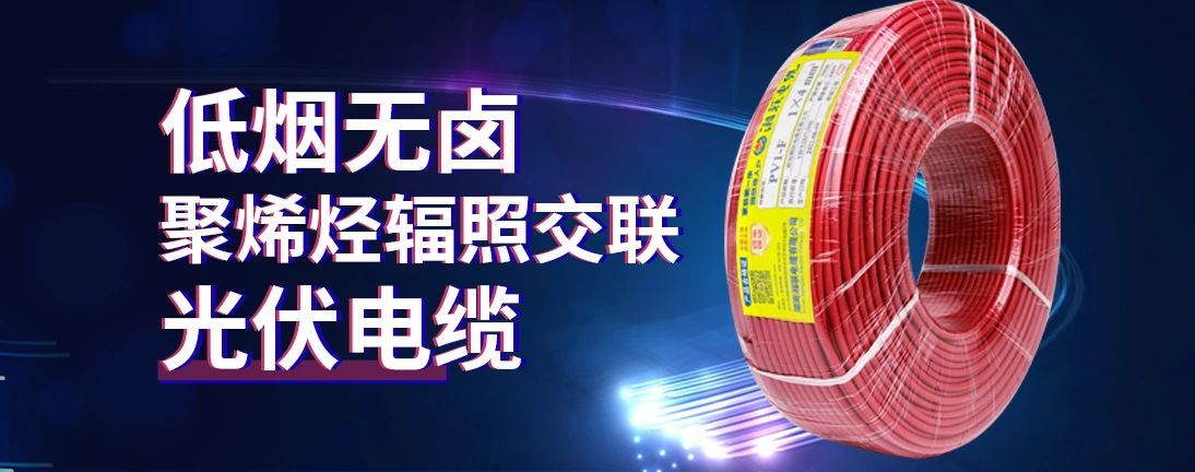 99久久伊人精品综合观看