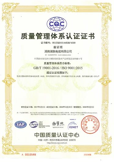 99久久伊人精品综合观看