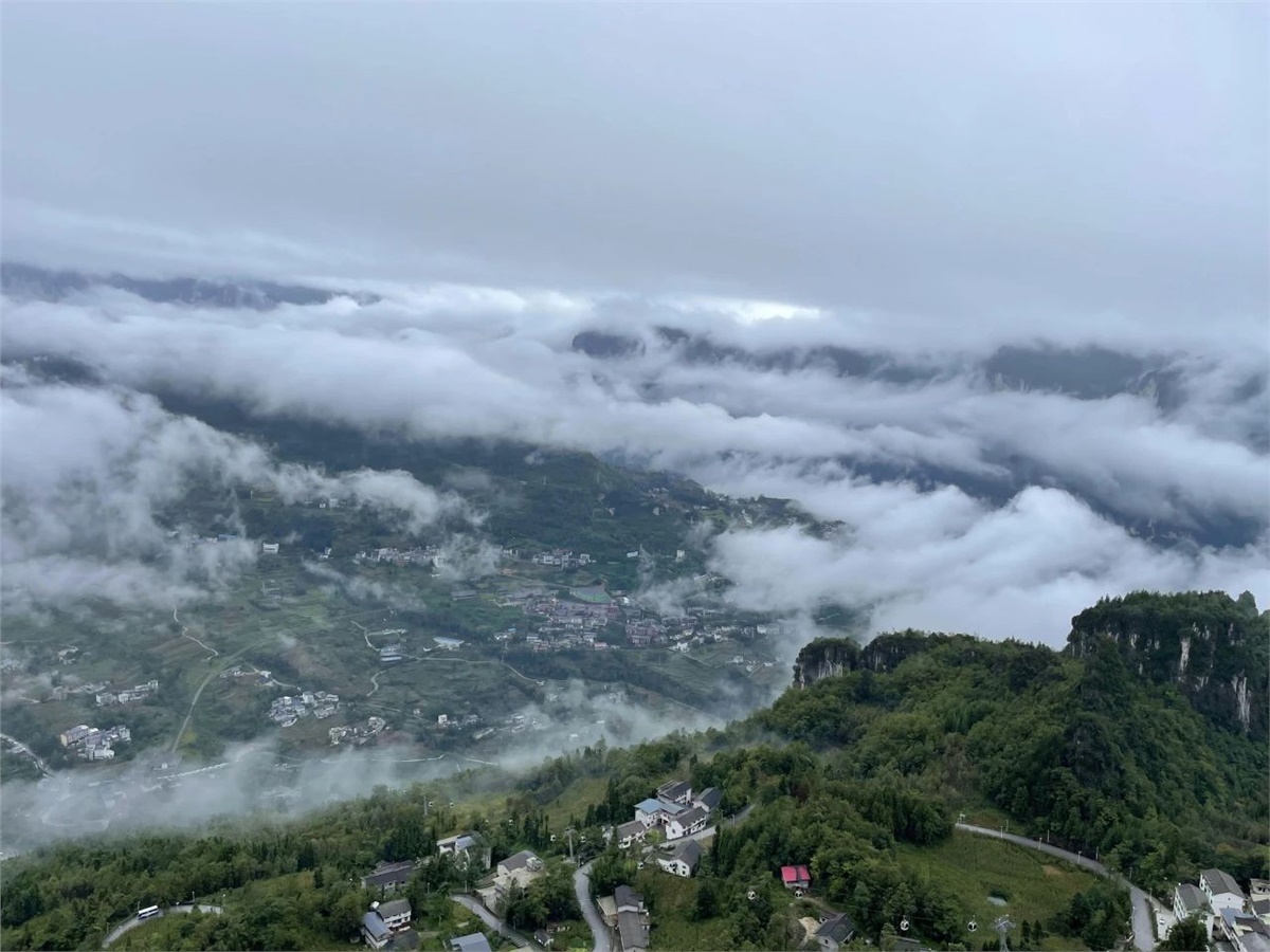 99久久伊人精品综合观看