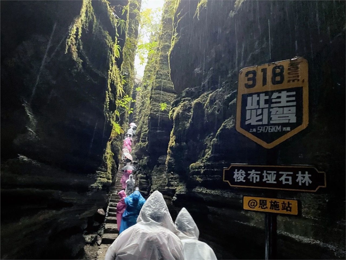 99久久伊人精品综合观看