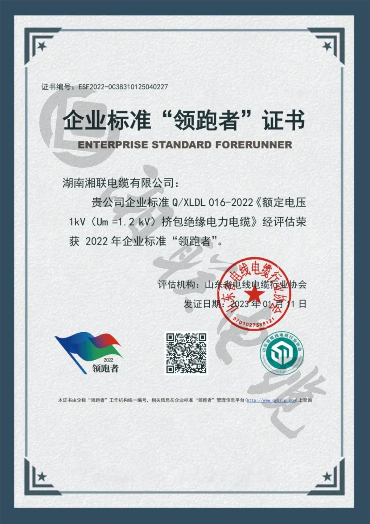 99久久伊人精品综合观看