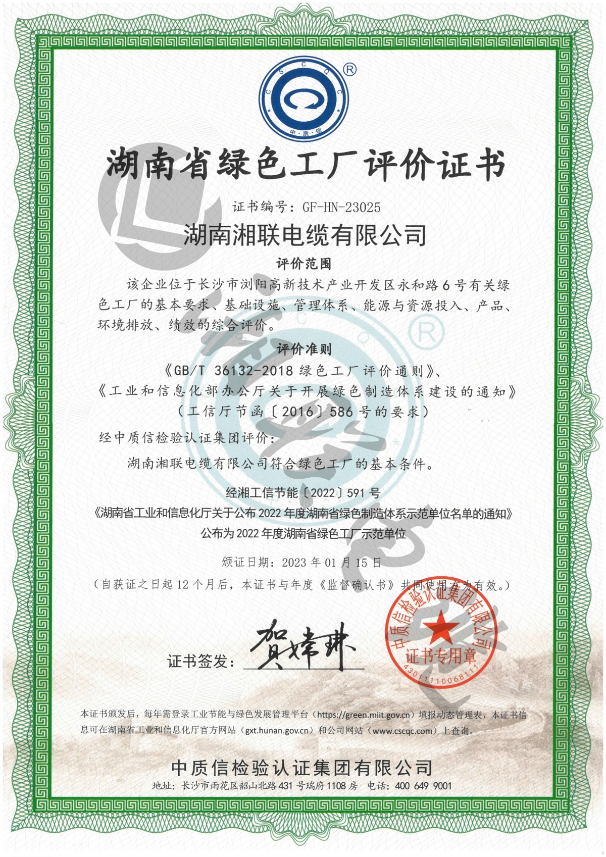 99久久伊人精品综合观看