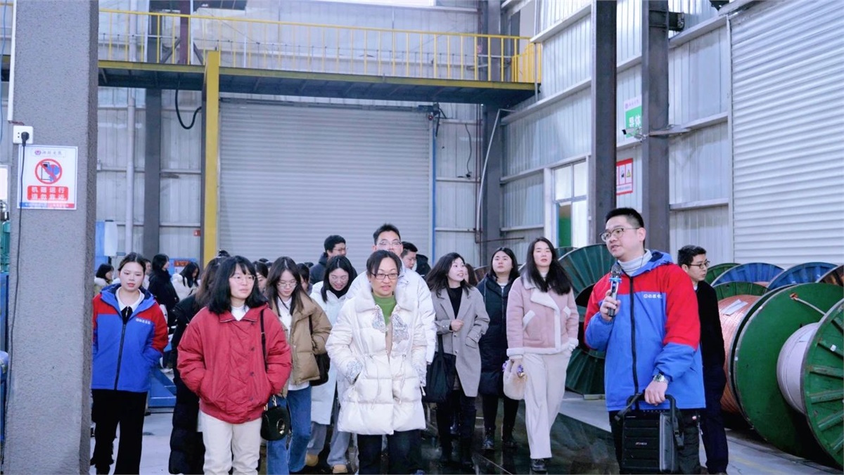 99久久伊人精品综合观看