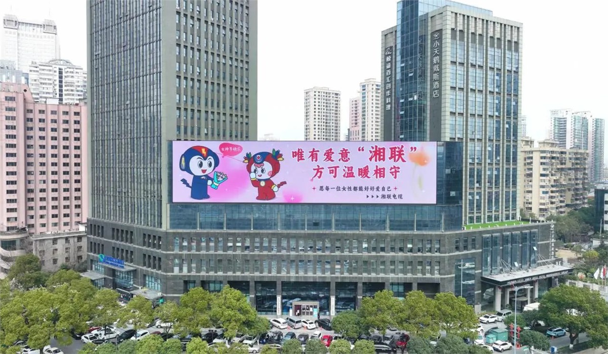 99久久伊人精品综合观看