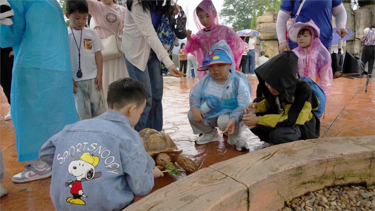 99久久伊人精品综合观看