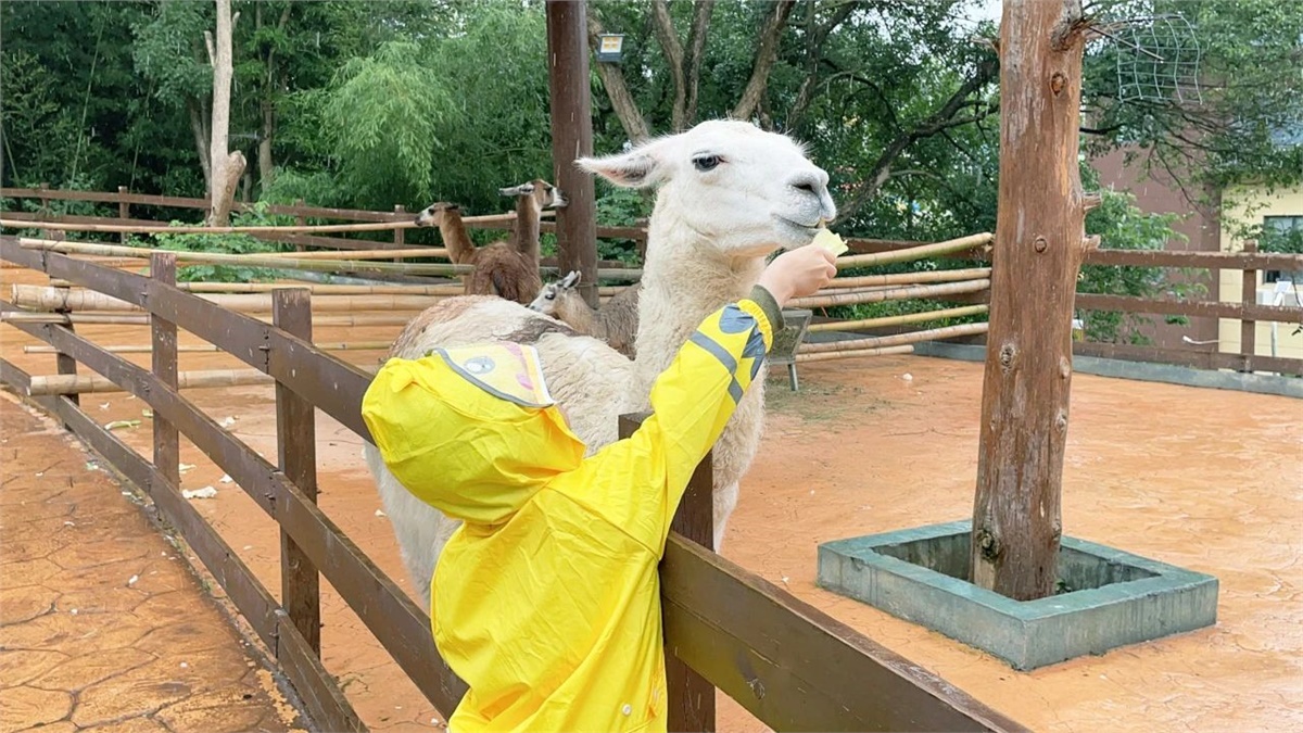 99久久伊人精品综合观看