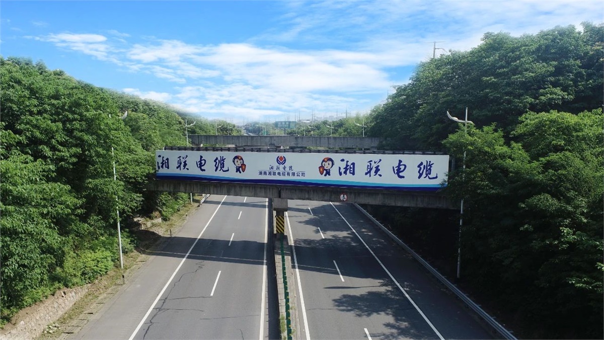 99久久伊人精品综合观看