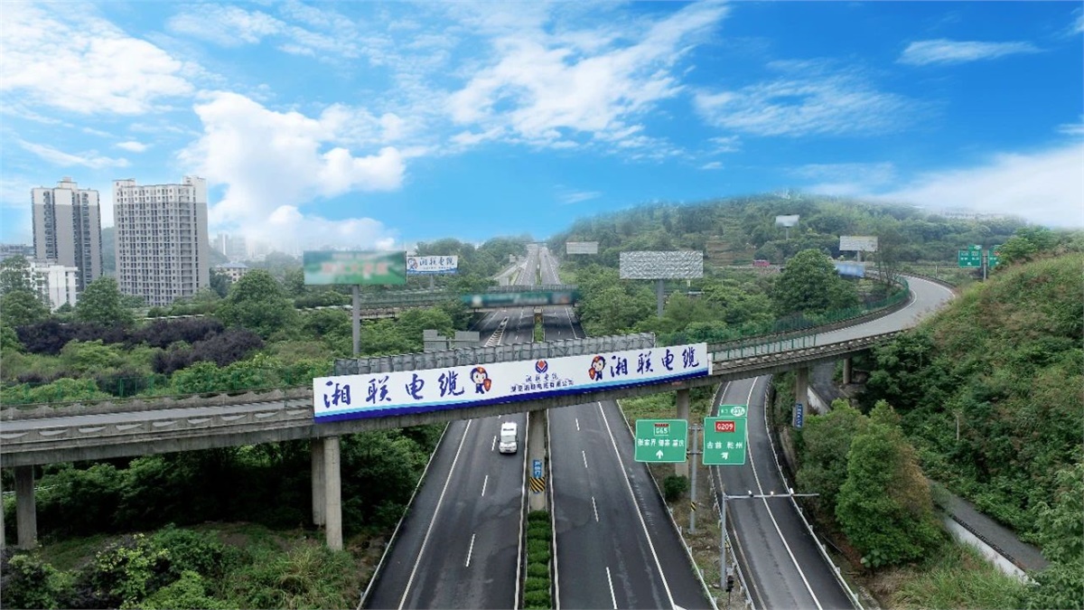 99久久伊人精品综合观看