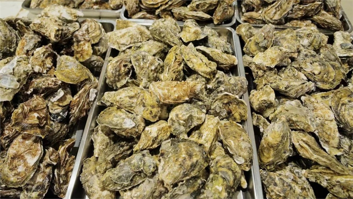 99久久伊人精品综合观看