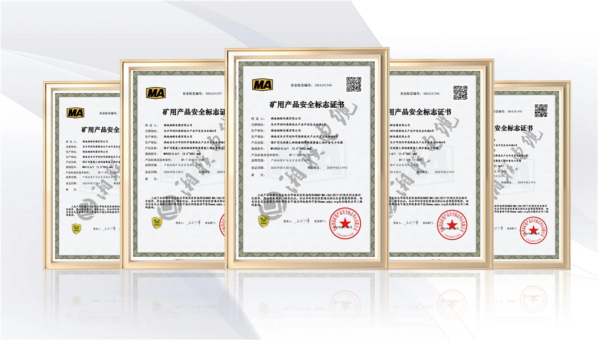 99久久伊人精品综合观看