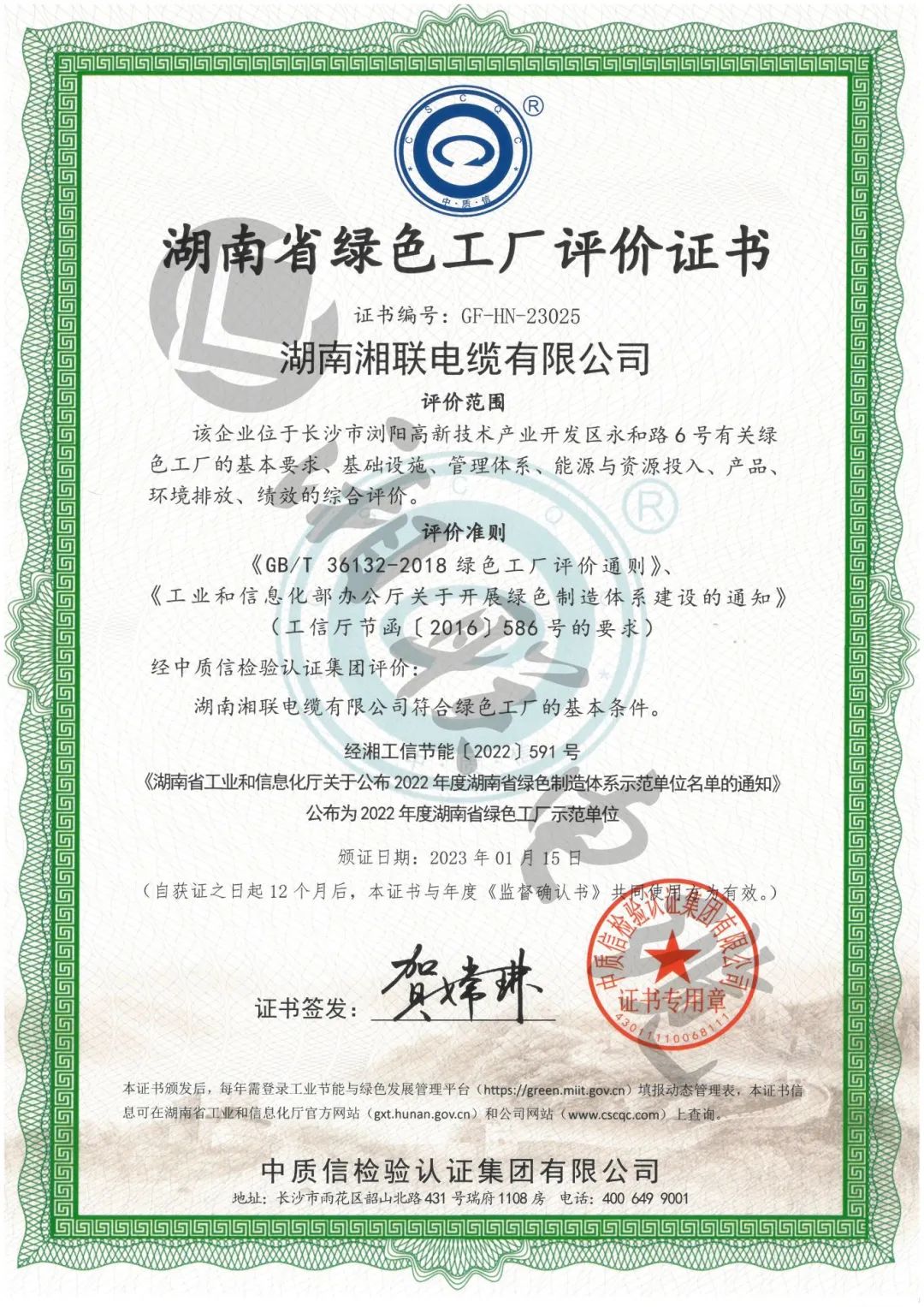 99久久伊人精品综合观看