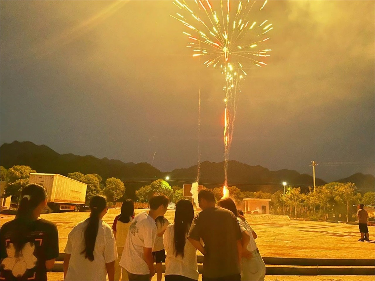 99久久伊人精品综合观看