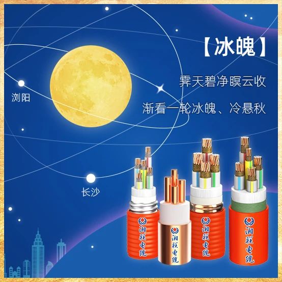 99久久伊人精品综合观看