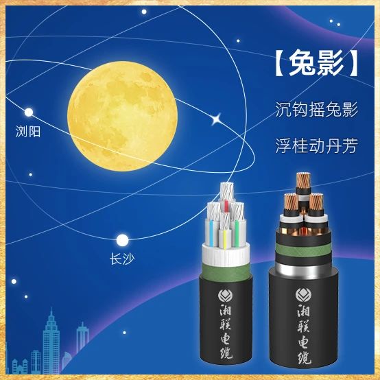 99久久伊人精品综合观看