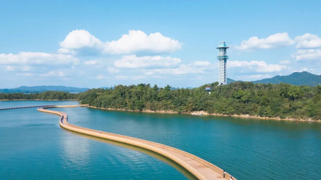 99久久伊人精品综合观看