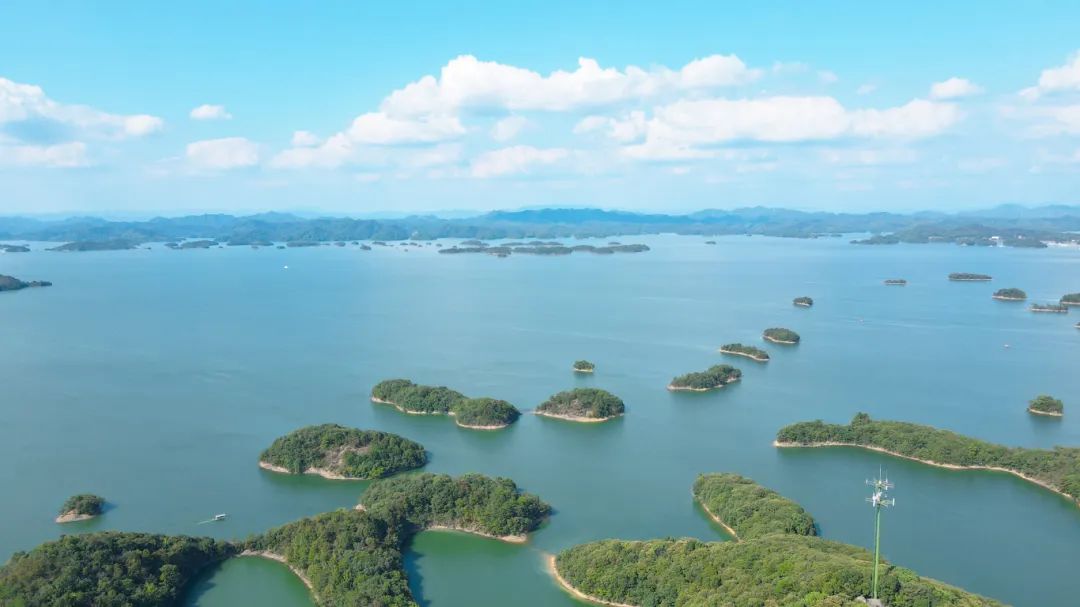 99久久伊人精品综合观看