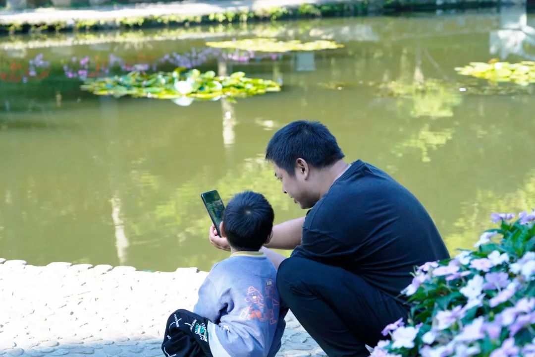 99久久伊人精品综合观看