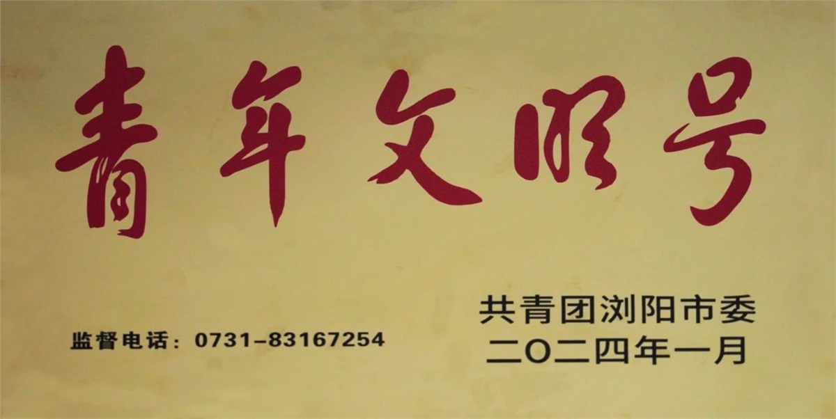 99久久伊人精品综合观看