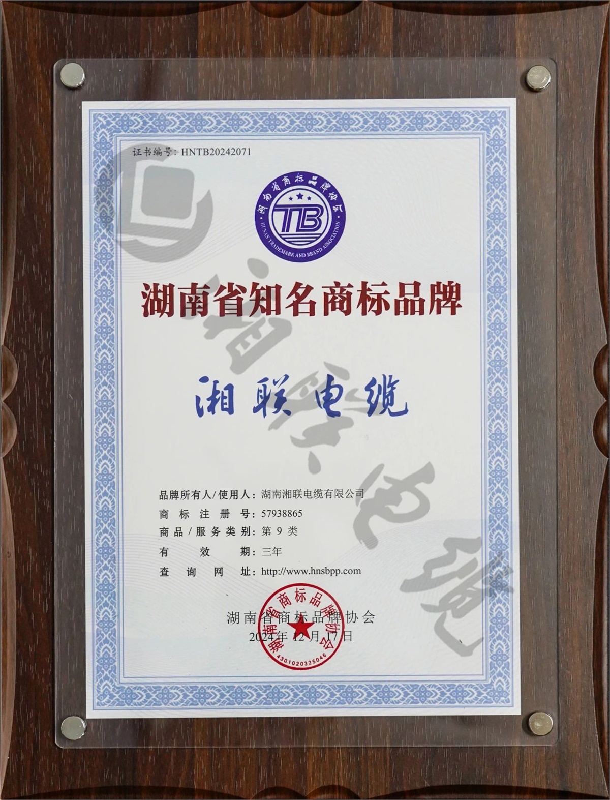 99久久伊人精品综合观看