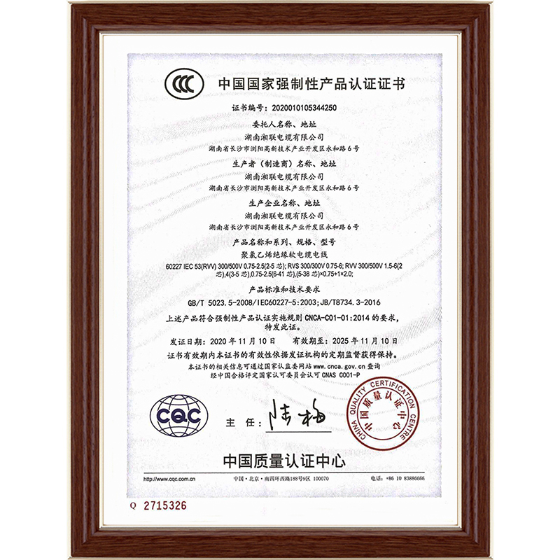 99久久伊人精品综合观看