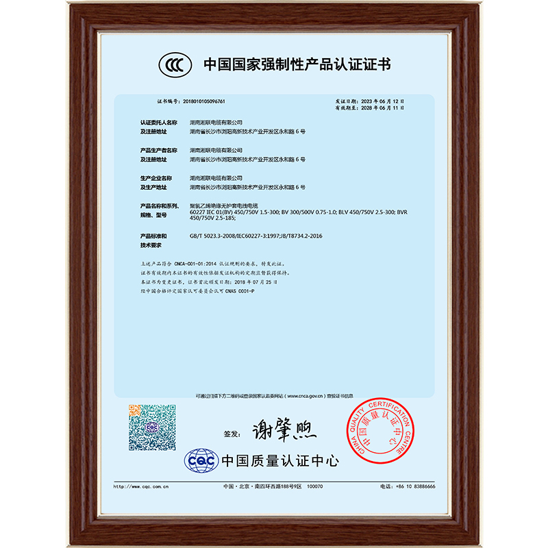 99久久伊人精品综合观看