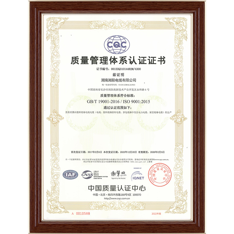 99久久伊人精品综合观看