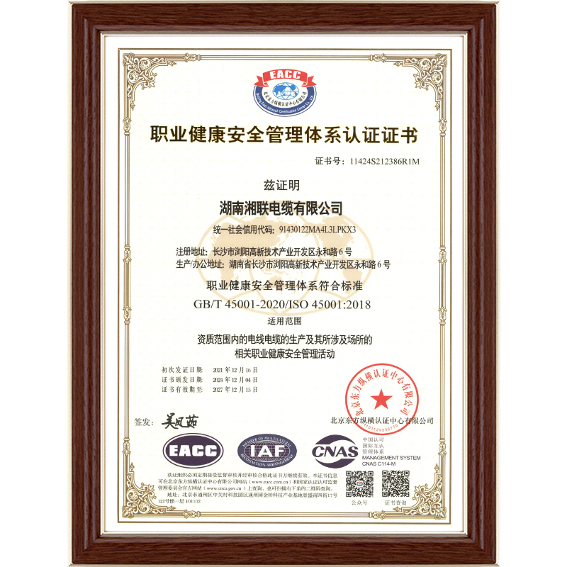 99久久伊人精品综合观看