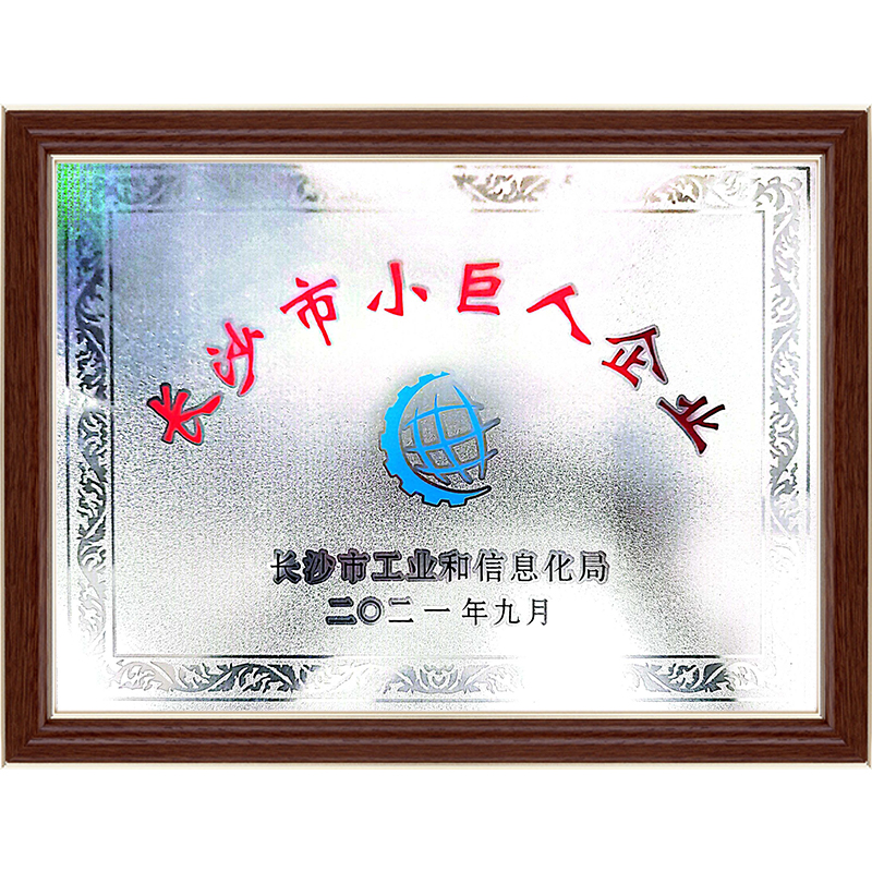 99久久伊人精品综合观看
